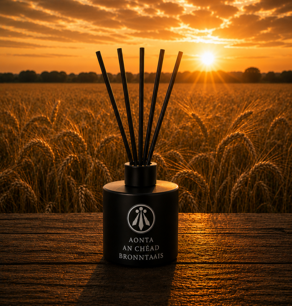 Lughnasadh - Aonta an Chéad Bhronntanais  (Reed Diffuser 100ml)